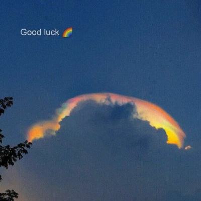 开云集团app下载截图